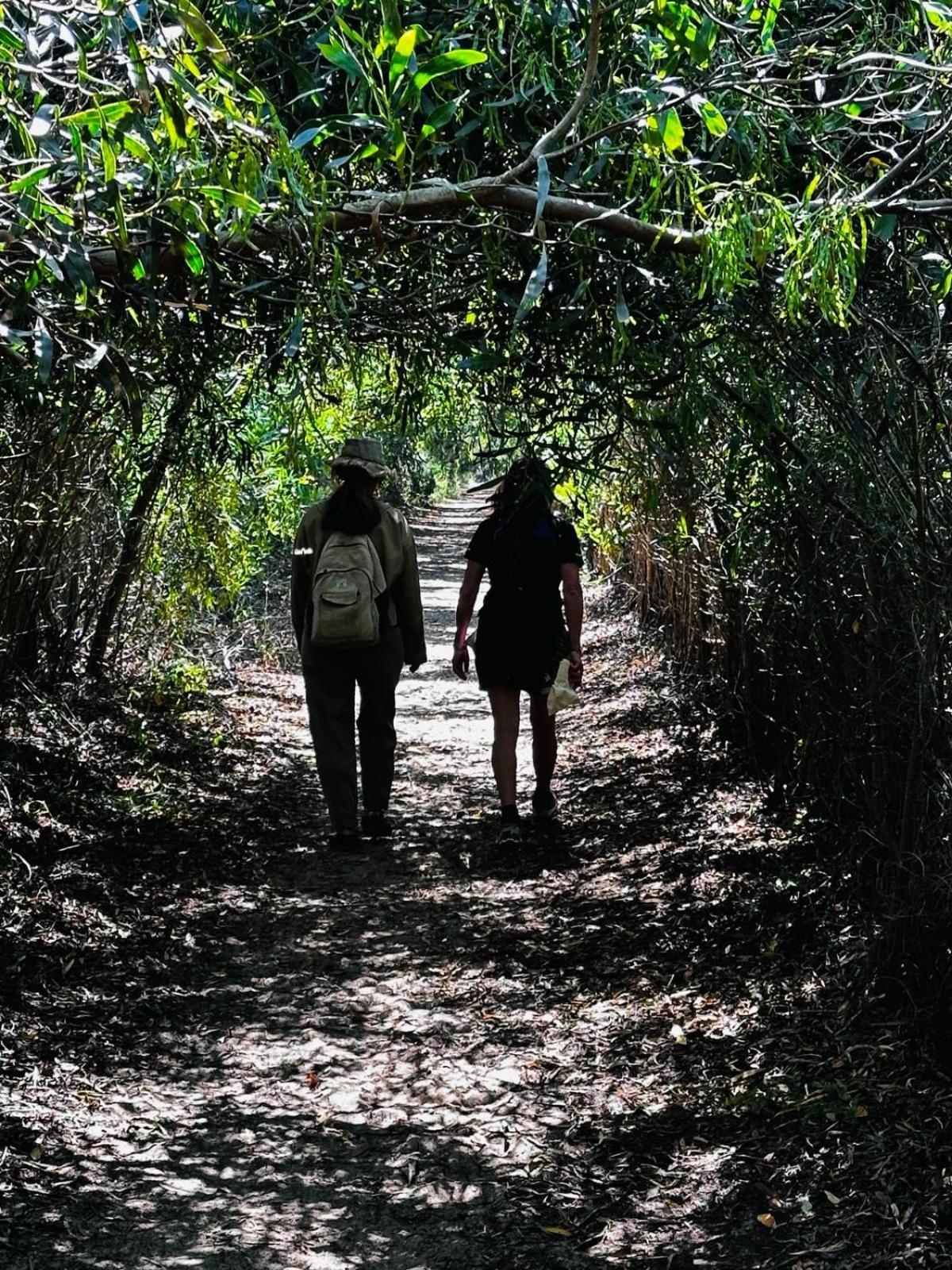Choeiro Verde - Casa De Campo Na Costa Vicentina Brejao Ngoại thất bức ảnh