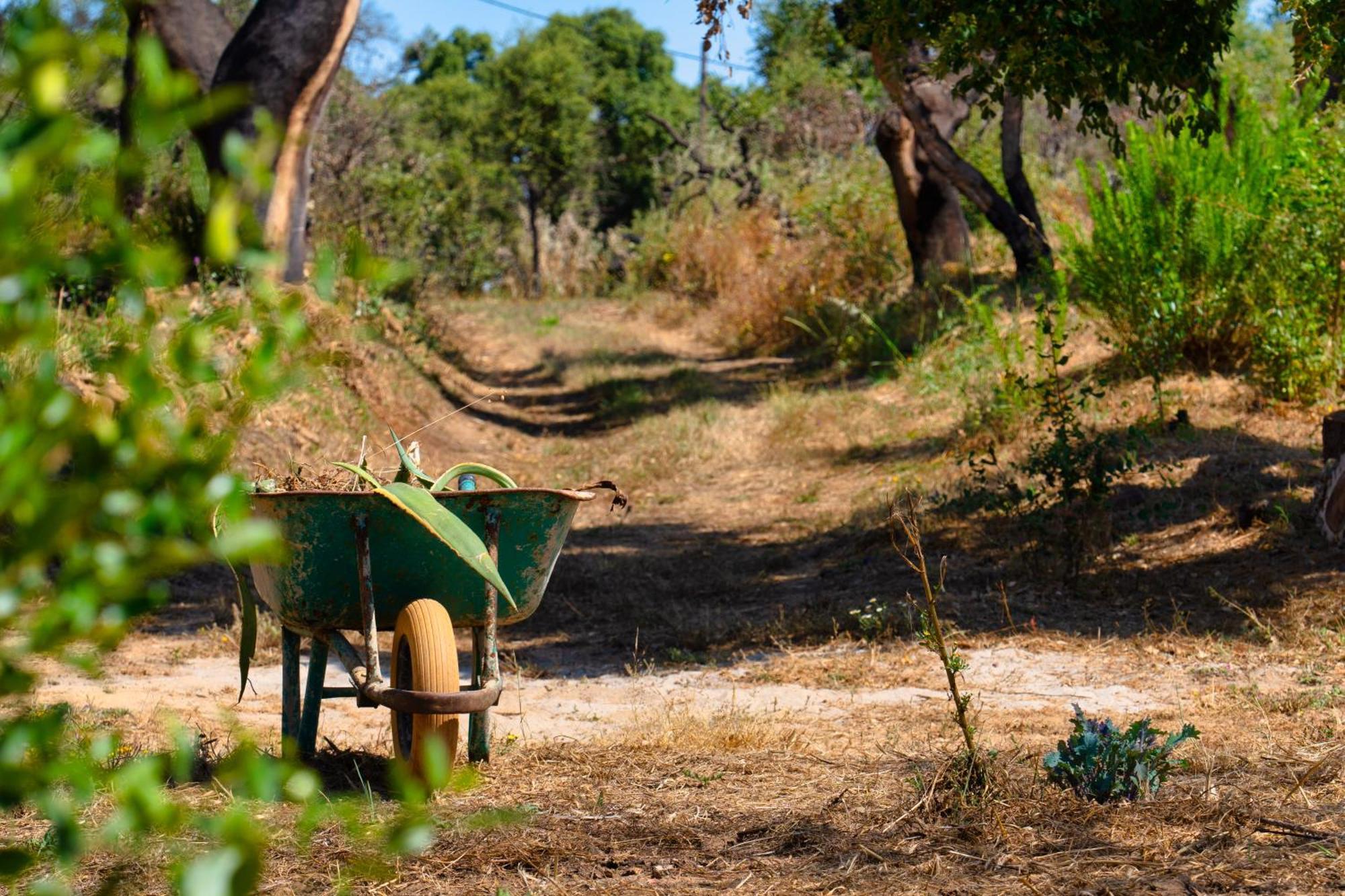 Choeiro Verde - Casa De Campo Na Costa Vicentina Brejao Ngoại thất bức ảnh